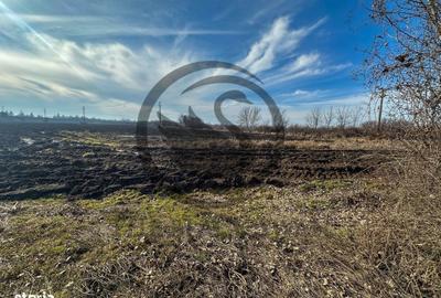 Teren de 10083 mp, în Gorgota - 2