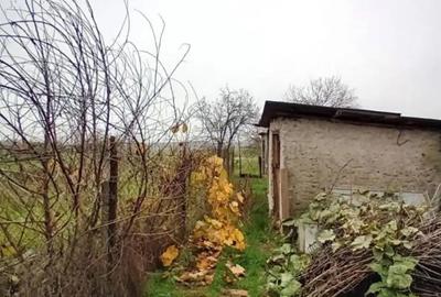 Casă cu 3 camere cu Teren 1700 Mp în Vitănești - 2
