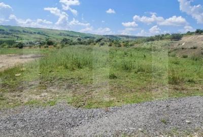 Teren de 1000 mp, în Iris - 3