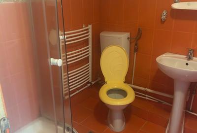 Apartament cu 3 camere decomandat în Exterior Vest - 4