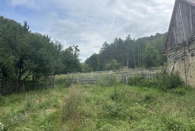 Casă cu 3 camere în Aita Seacă - 5