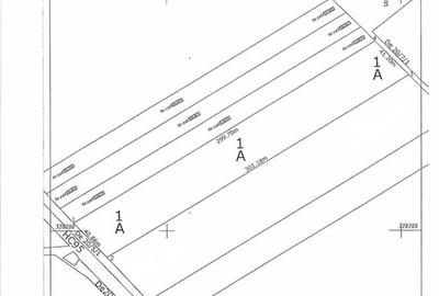 Teren Construcții intravilan de 12000 mp, în Ciorogârla - 5