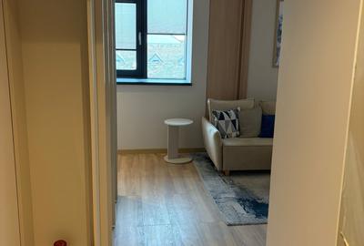 Apartament cu 2 camere, mobilat în P-ța Unirii - 5