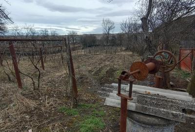 Casă cu 3 camere cu Teren 2394 Mp în Fărcășești