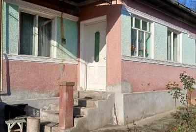 Casă cu 2 camere cu Teren 9000 Mp în Central - 1