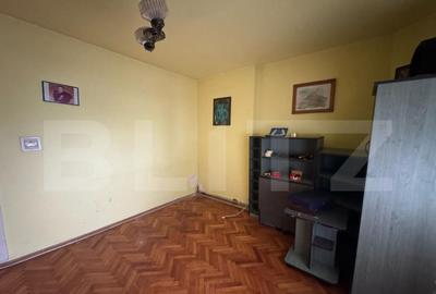 Casă cu 5 camere cu Teren 3000 Mp în Horea - 11