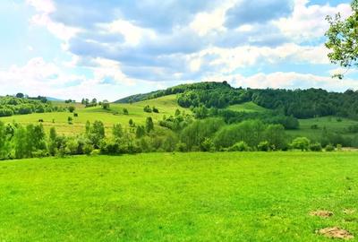 25.000 mp TEREN IDEAL AFACERE TURISM – AMENAJARE LAC DE PESCUIT, CIUCEA - CLUJ - 24
