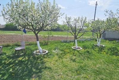 Casă cu 3 camere cu Canalizare în Slobozia (Roznov) - 12