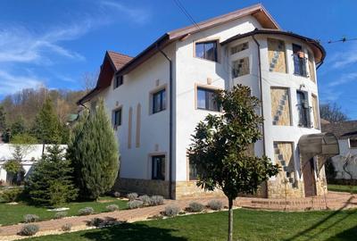 Domeniu de vanzare, Baile Govora(Pausesti-Otasau) cu teren de 20875mp - 1