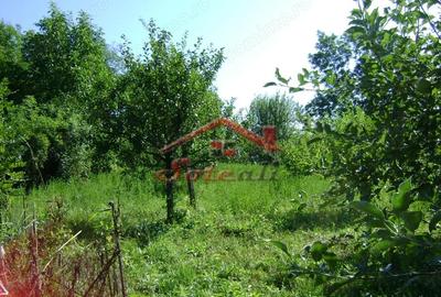 Teren de 2276 mp, în Vest - 14