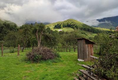 Casa traditionala Rau Sadului (Sibiu) - 2