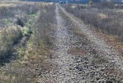 Teren de 1000 mp, în Pielești