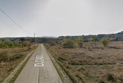 Teren Construcții extravilan de 4000 mp, în Bucium - 6