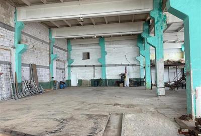 Hală 684 mp , H - 9 metri, Valea Lupului - 2