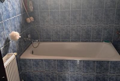 Casă cu Teren 2049 Mp în Bazoș - 2