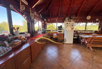 Casa si terasa de vanzare in Magura Bacau - 20
