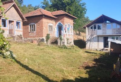 Vand casa cu teren - 4