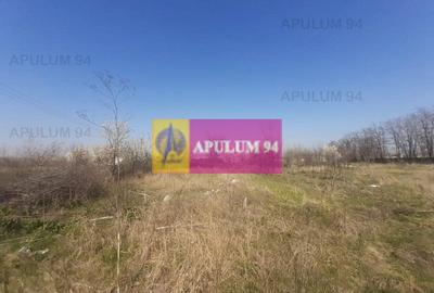 Teren Construcții intravilan de 4800 mp, în Glina - 34