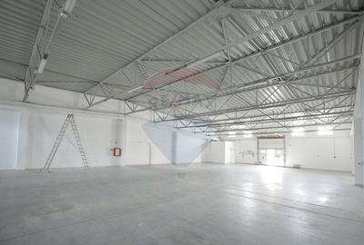 De vanzare Spatiu industrial de 10 129 mp Soseaua Borsului - 12