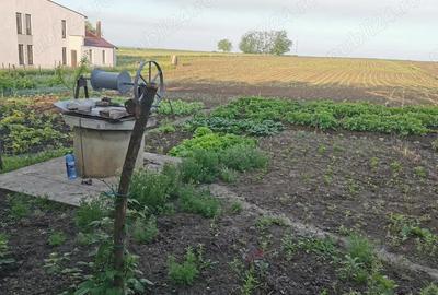 Casa cu teren intravilan -Seliste-Boto?ani, com. MILEANCA - 3