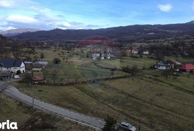 Teren de 2007 mp, în Șișești - 5