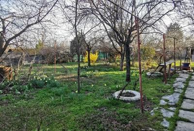 Casă cu 4 camere cu Teren 1000 Mp în Frumușani - 7