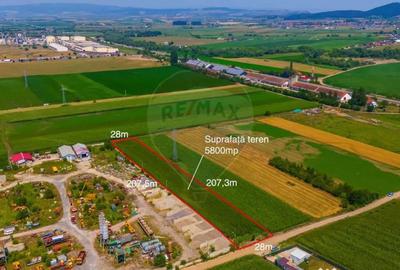 Teren de 5800 mp, în Stupini