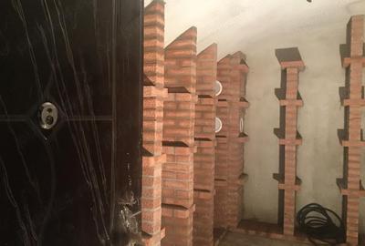 Casă cu Teren 1087 Mp în Poienari - 10