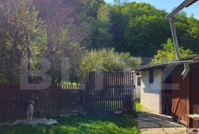 Casa spa?ioasa cu livada, intr-o zona lini?tia la 2 - 7