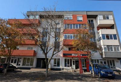 Vanzare Spatiu Comercial 151 mp, Soseaua Oltenitei, Popesti-Leordeni - 2