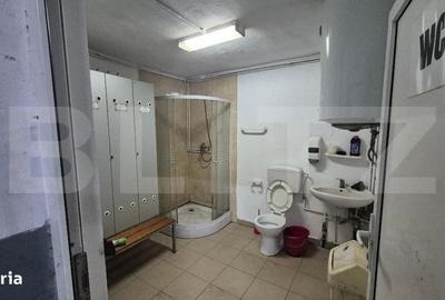 Spațiu comercial, de 135 mp, în Careiului - 2