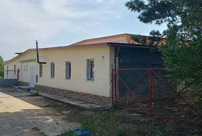 Inchiriez hala productie cu S= 424 mp si h=4 m amplasata str.Bogata nr.25 Turda (fosta Avicola) Inchiriez hala productie cu S= 424 mp si h=4 m amplasata str.Bogata nr.25 Turda (fosta Avicola) - 1