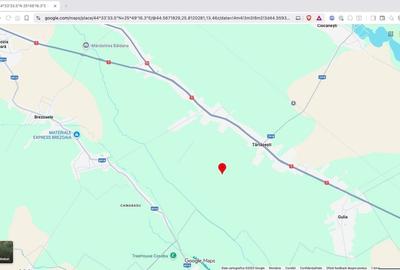Teren extravilan agricol 10.000 mp Tartasesti - 5
