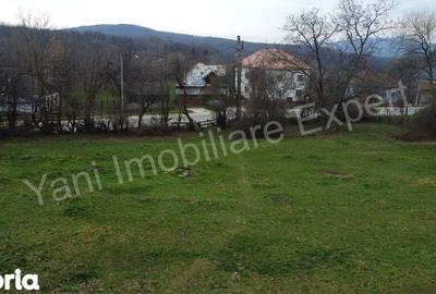 Teren de 2674 mp, în Cepari - 6