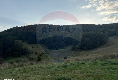 Spațiu comercial, în Dejani - 1