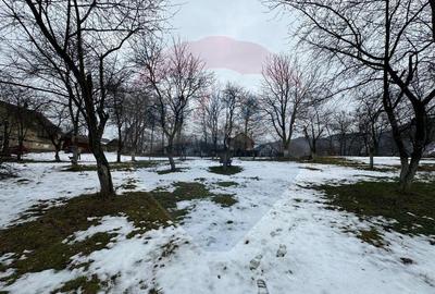 Teren Zarnesti /Bran/Predelut6 Strada Pe tarina - 1