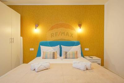 Apartament cu 3 camere semidecomandat, mobilat în Drumul Poienii - 21