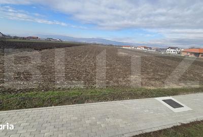 Teren de 14300 mp, în Ciugud - 5