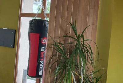 Spatiu comercial Spatiu comercial - 2