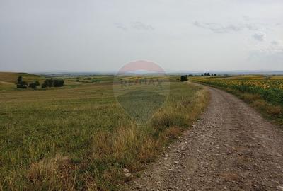 Teren agricol intravilan de 300000 mp, în Stroiești - 6