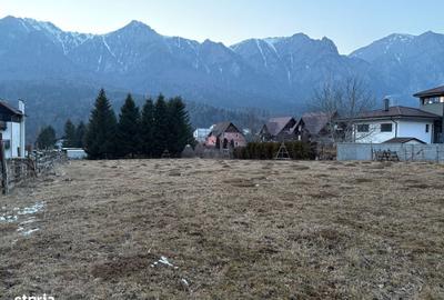 Spațiu comercial, în Piatra Arsă - 9
