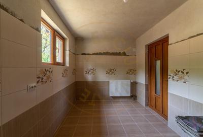 Casa  cu 4 camere in Sat Bujoi, Comuna Bogati+ Anexe + Teren 2693 mp - 7