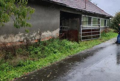 Vand casa ?i terenul aferent de 2 hectare intravilan - 5