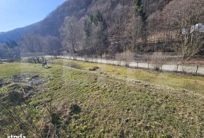 Casă cu 4 camere în Bichigiu - 7