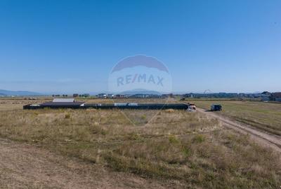 Teren Construcții intravilan de 686 mp, în Cristian - 5