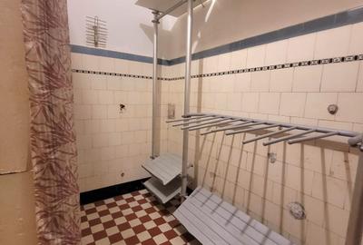 Apartament cu personalitate în inima cartierului Kiseleff – Arcul de Triumf - 11