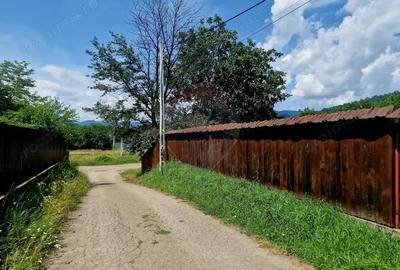 Teren intravilan 1000 mp Vii?oara, utilita?i - 2