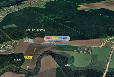 Teren Construcții intravilan de 9700 mp, în Snagov - 4