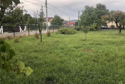 Teren de 1000 mp, în Valea Mare