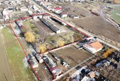 Teren in suprafata de 7774 intravilan | Constructi in suprafata de 1029 mp - 2